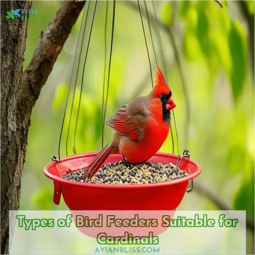 Types of Bird Feeders Suitable for Cardinals