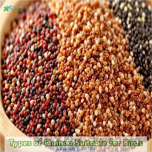 Types of Quinoa Suitable for Birds