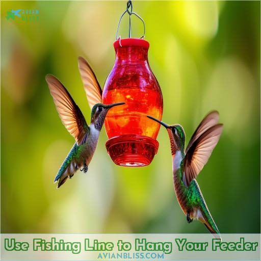 Use Fishing Line to Hang Your Feeder