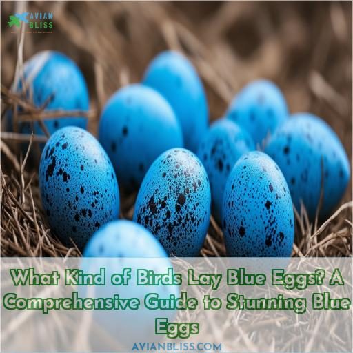 what kind of birds lay blue eggs