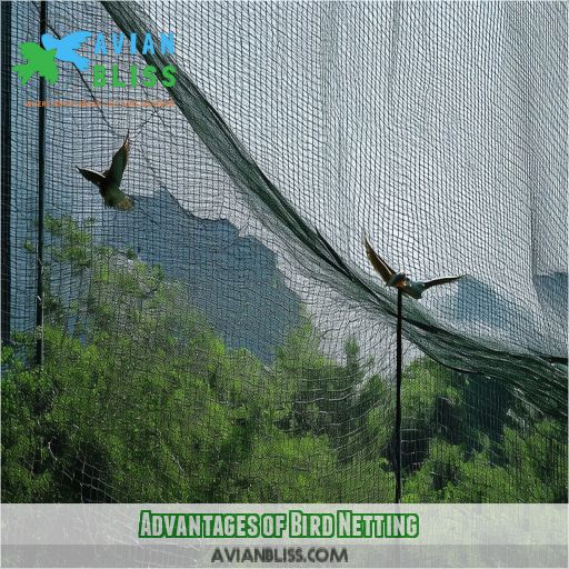 Advantages of Bird Netting