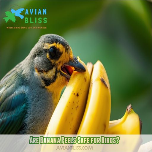 Are Banana Peels Safe for Birds