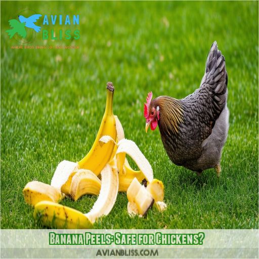 Banana Peels: Safe for Chickens