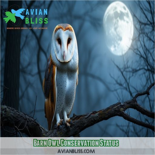 Barn Owl Conservation Status