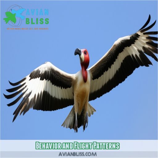 Behavior and Flight Patterns