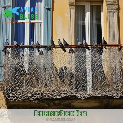 Benefits of Pigeon Nets