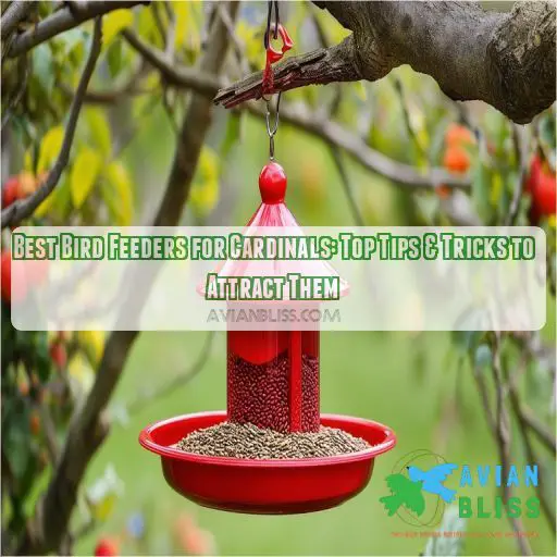 best bird feeders for cardinals