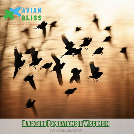 Blackbird Populations in Wisconsin