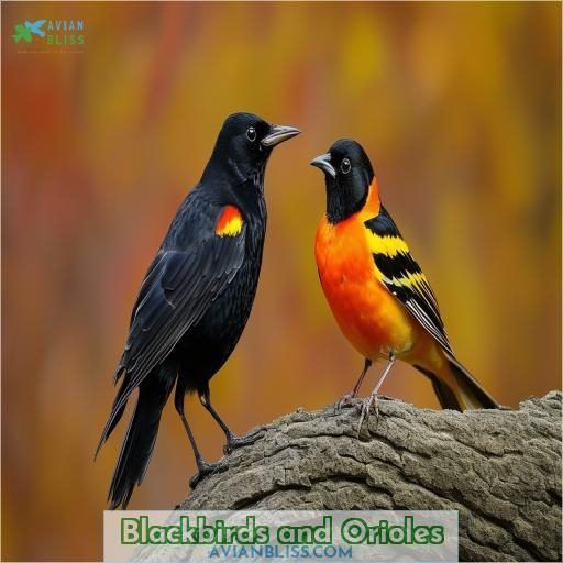 Blackbirds and Orioles