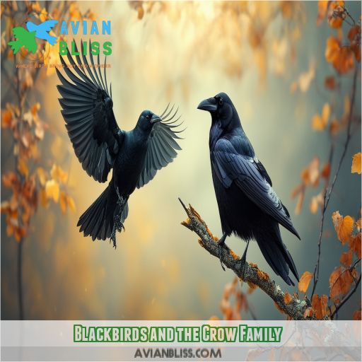 Blackbirds and the Crow Family