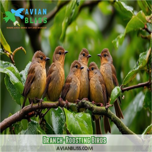 Branch-Roosting Birds