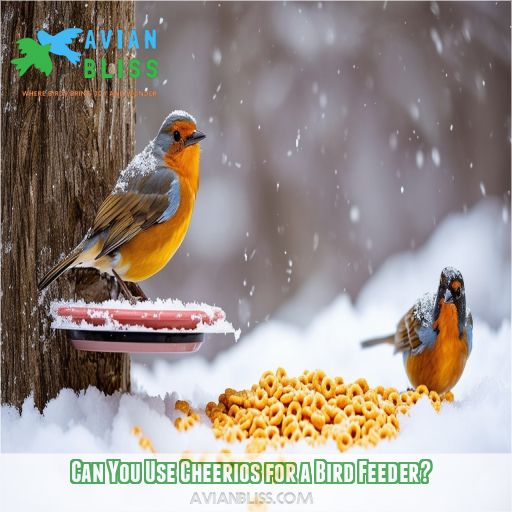 Can You Use Cheerios for a Bird Feeder