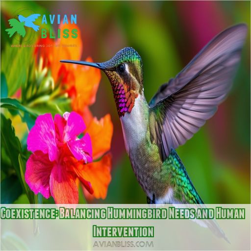 Coexistence: Balancing Hummingbird Needs and Human Intervention