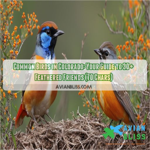 common birds in colorado