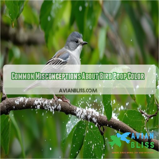 Common Misconceptions About Bird Poop Color