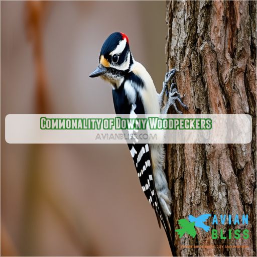 Commonality of Downy Woodpeckers