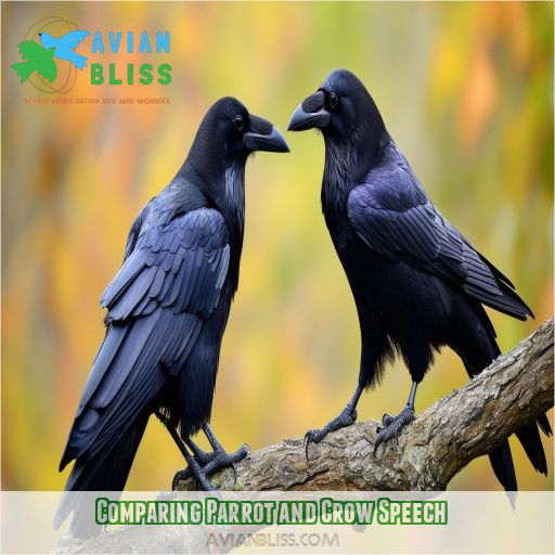Comparing Parrot and Crow Speech