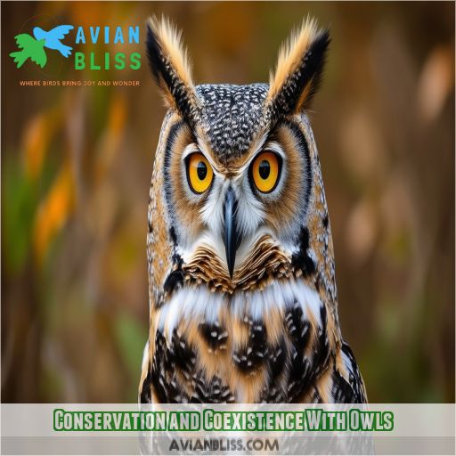 Conservation and Coexistence With Owls