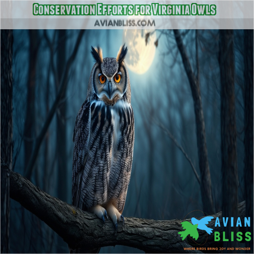 Conservation Efforts for Virginia Owls