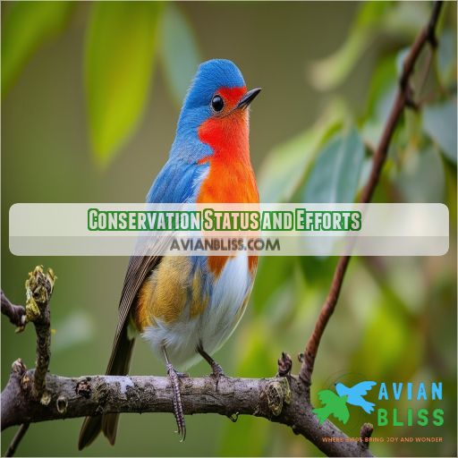 Conservation Status and Efforts