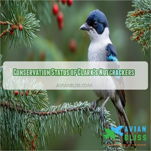 Conservation Status of Clark