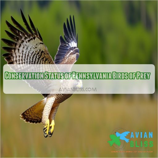 Conservation Status of Pennsylvania Birds of Prey