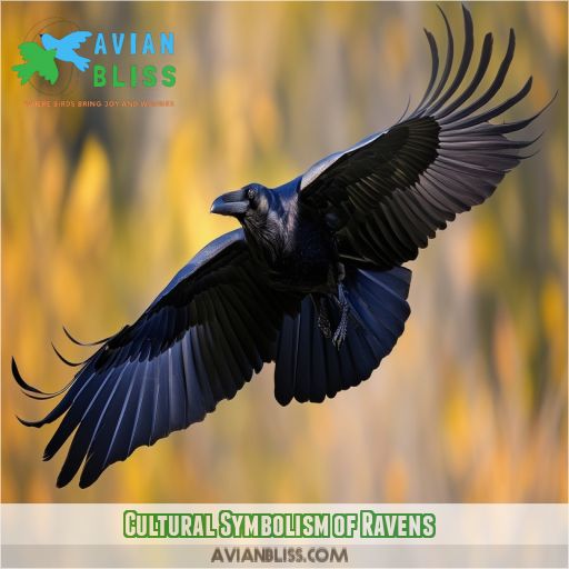 Cultural Symbolism of Ravens