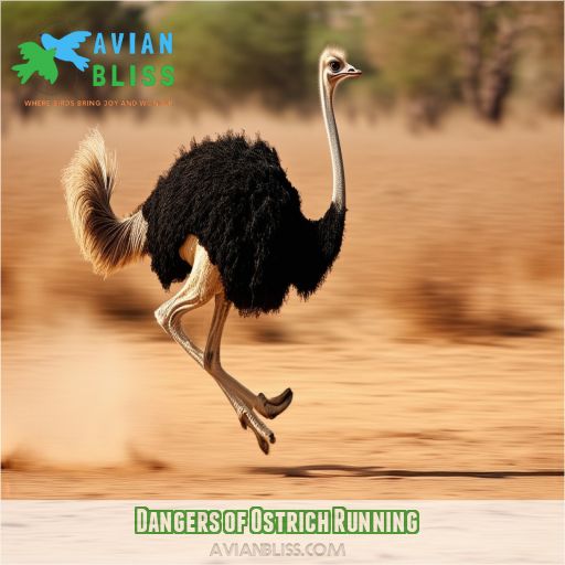Dangers of Ostrich Running