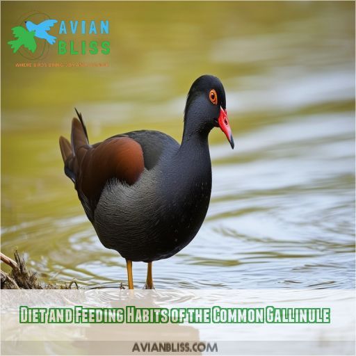 Diet and Feeding Habits of the Common Gallinule