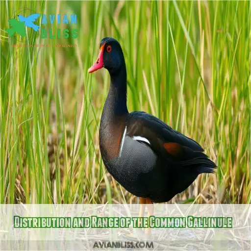 Distribution and Range of the Common Gallinule