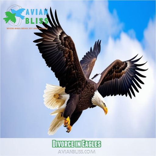 Divorce in Eagles
