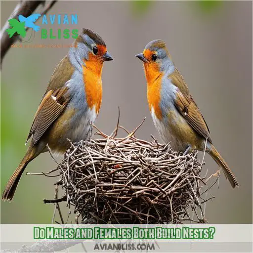 Do Males and Females Both Build Nests