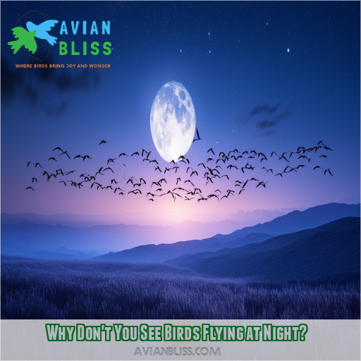 Do Migratory Birds Fly Through the Night