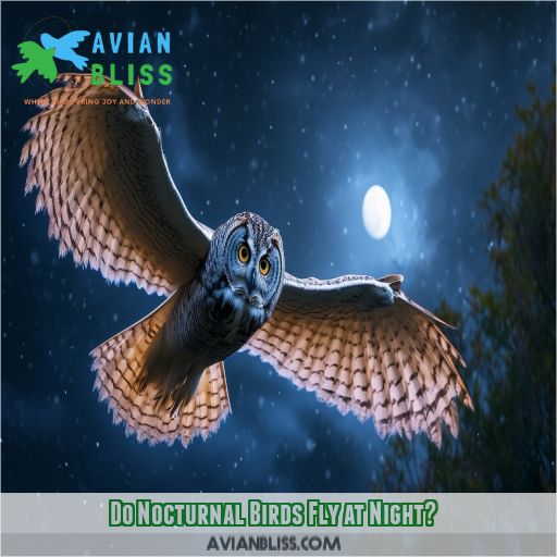 Do Nocturnal Birds Fly at Night