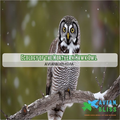 Ecology of the Northern Hawk Owl