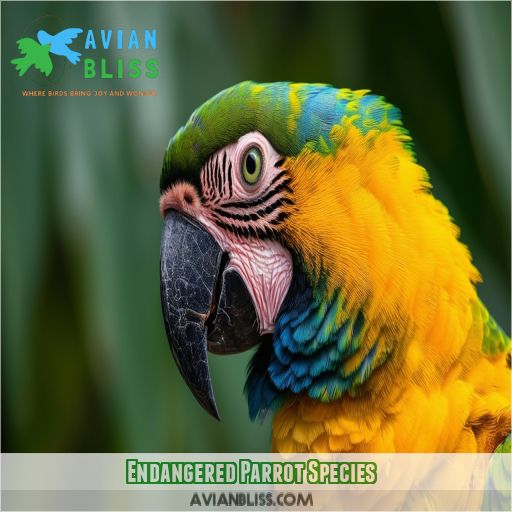Endangered Parrot Species