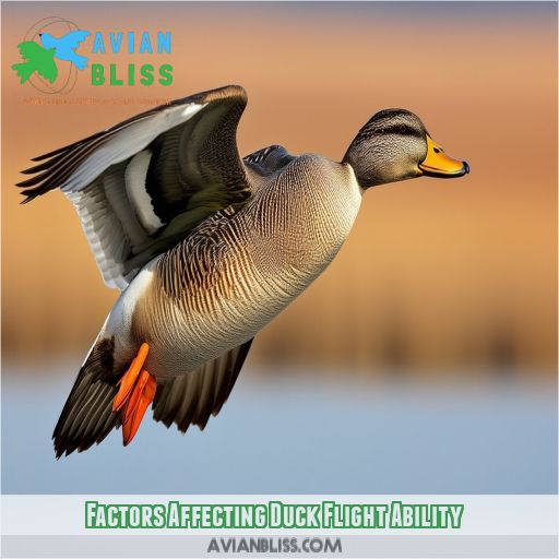 Factors Affecting Duck Flight Ability