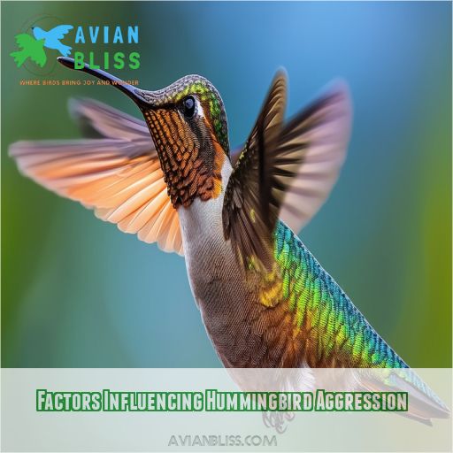 Factors Influencing Hummingbird Aggression