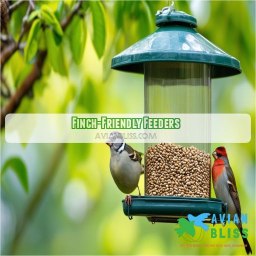 Finch-Friendly Feeders