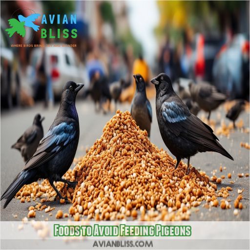 Foods to Avoid Feeding Pigeons