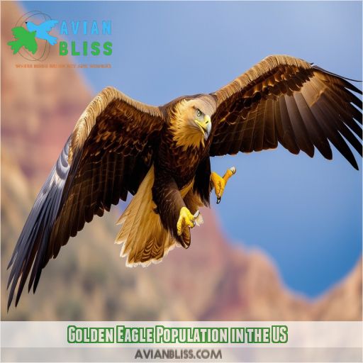 Golden Eagle Population in the US