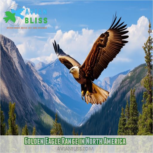 Golden Eagle Range in North America
