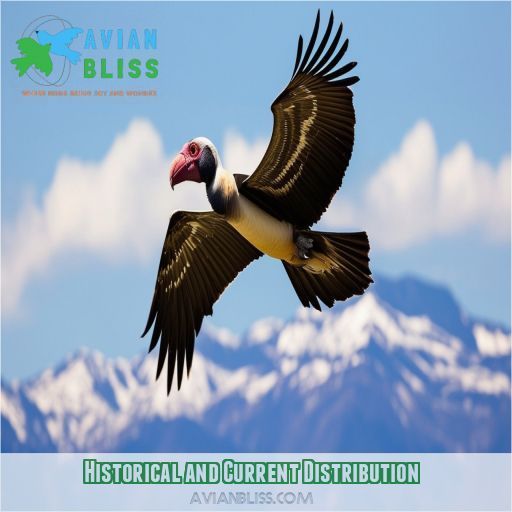 King Vulture Identification Appearance: Learn Key Traits and Unique ...