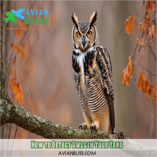 How to Detect Owls in Your Yard