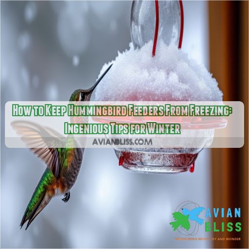 how to keep hummingbird feeders from freezing