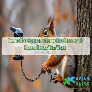 how to keep squirrels out of bird feeders