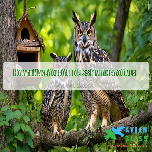 How to Make Your Yard Less Inviting to Owls