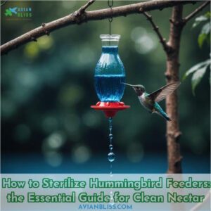 how to sterilize hummingbird feeders