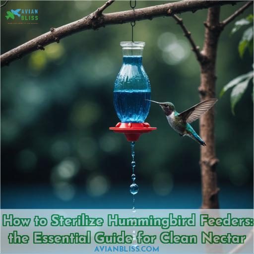 how to sterilize hummingbird feeders