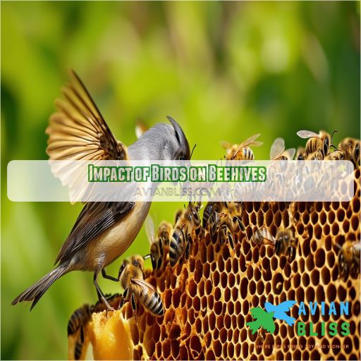 Impact of Birds on Beehives